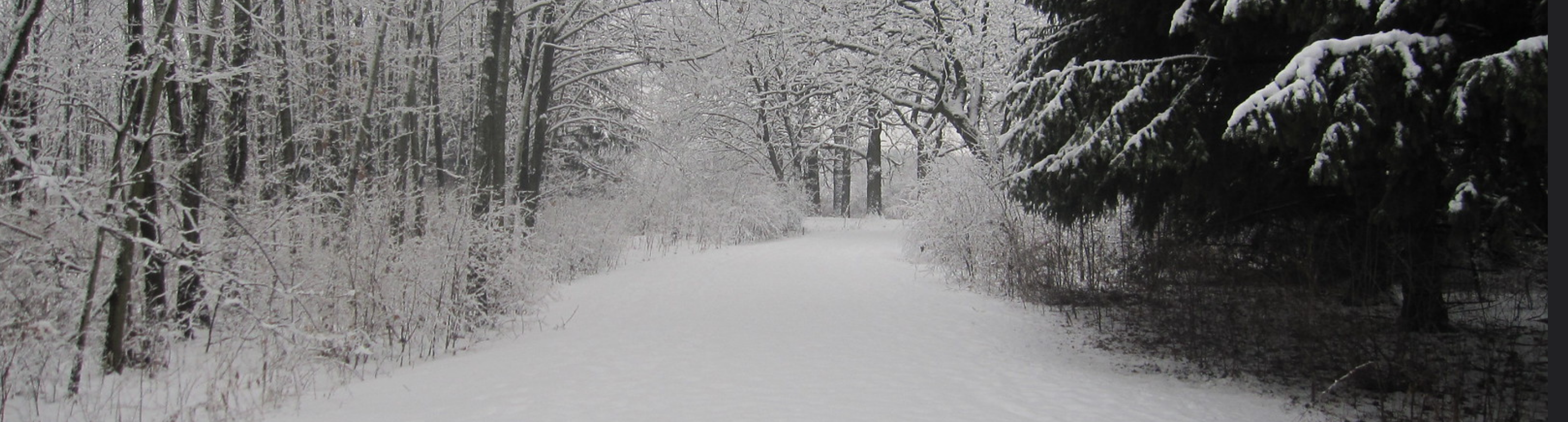 Winfield Mounds in fresh snowfall, Monday, February 22, 2010