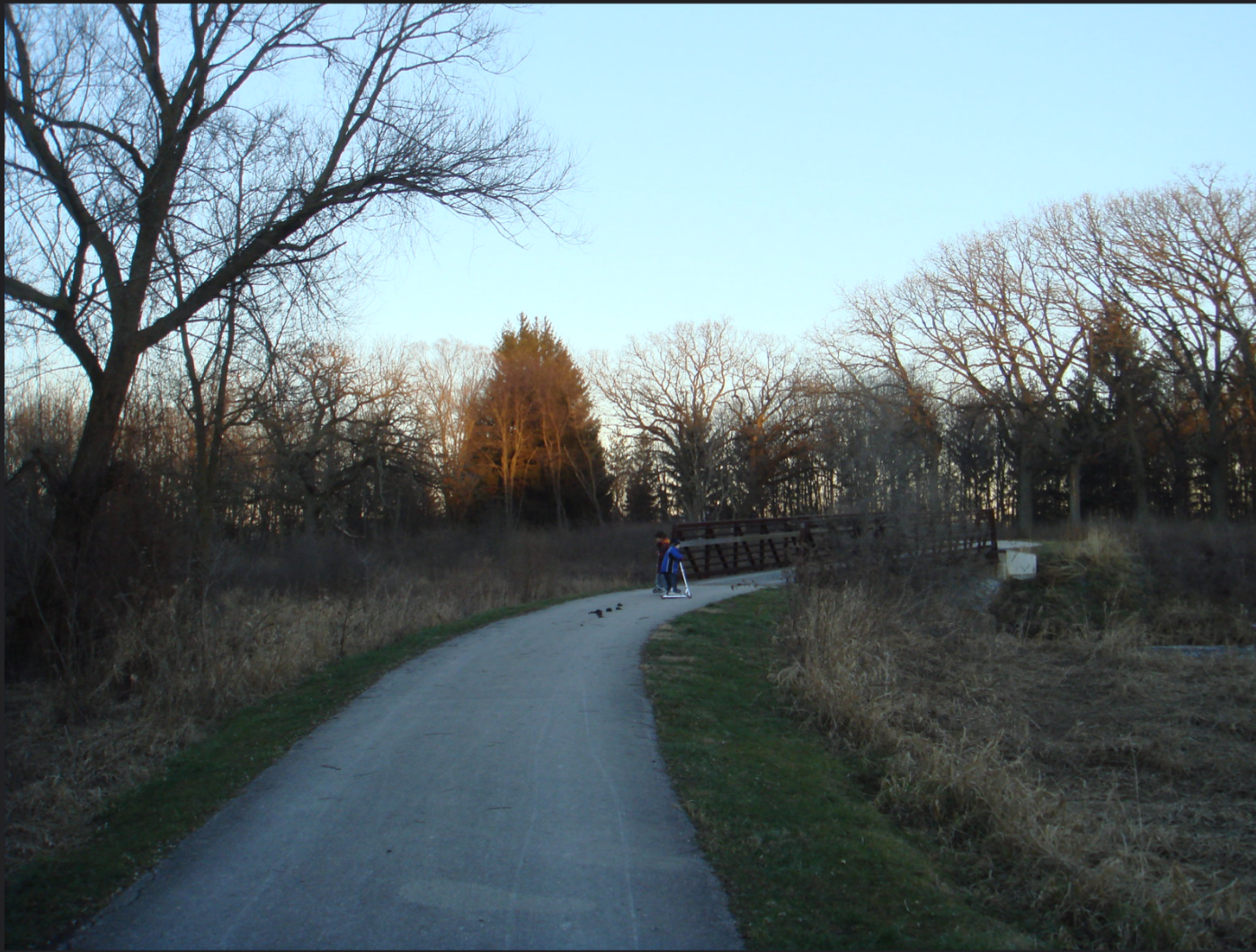 Winfield Mounds Through the Seasons